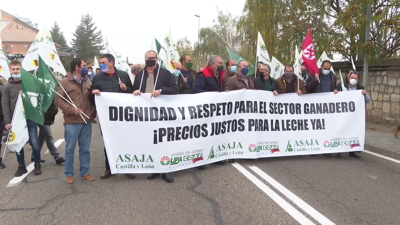 Mobilizacións en Zamora