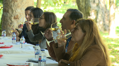 As exportacións de godello da D. O. Valdeorras chegan a Nova Zelandia.