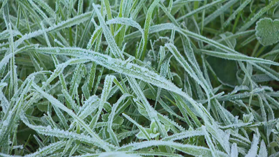 Fortes xeadas e baixan as temperaturas mínimas