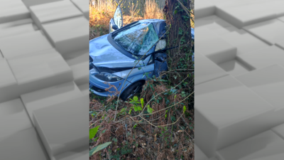 O coche parou co lateral esquerdo contra o piñeiro, como amosan as imaxes cedidas