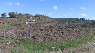 A plantación estragada na parroquia carballiñesa de Sagra nunha imaxe deste venres