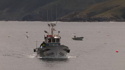 Barco entrando no porto de Malpica