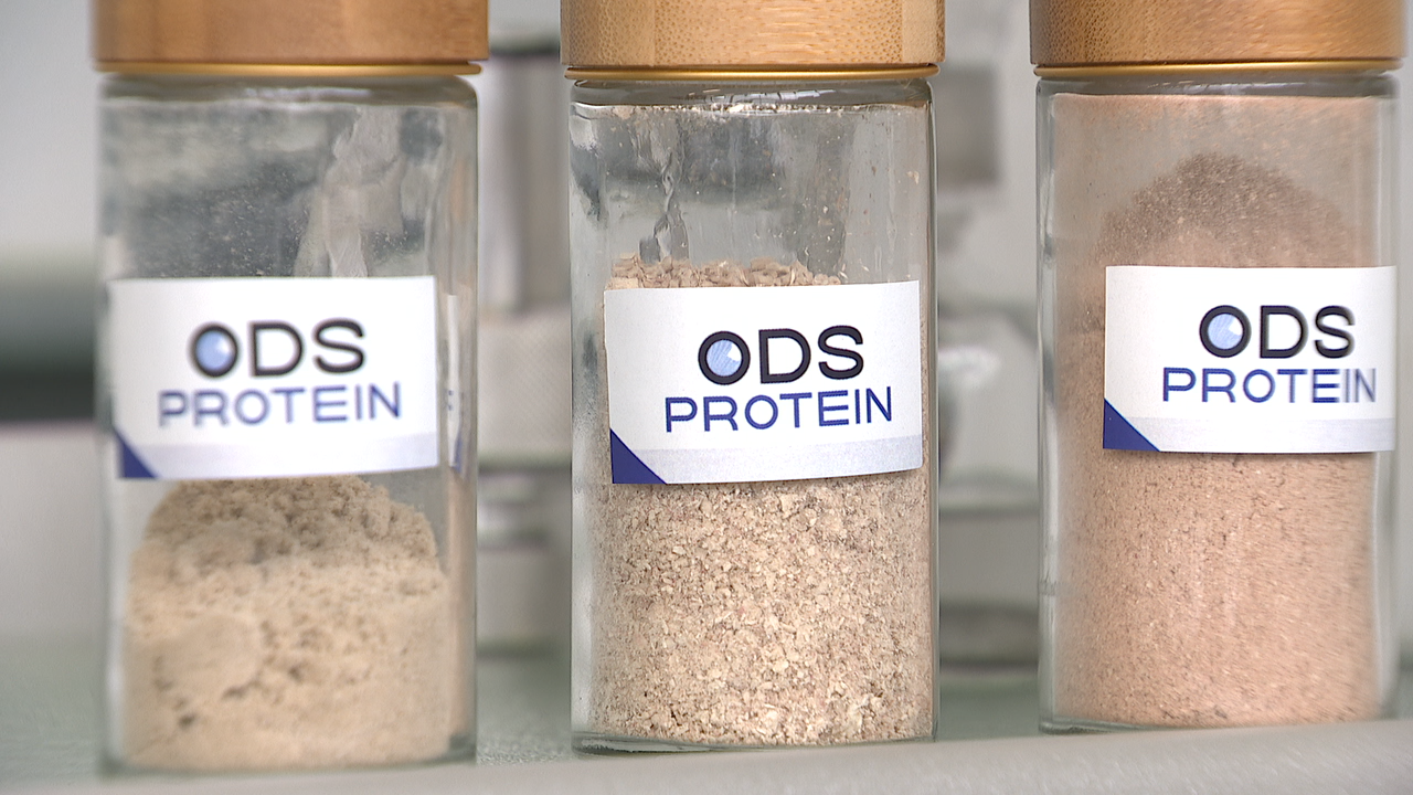 A compañía ODS Protein é a primeira empresa galega en producir proteínas en pó a a partir de fungos fementados.