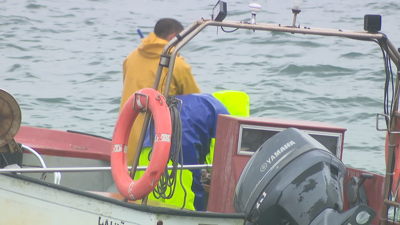 Marisqueo a flote na ría de Ferrol