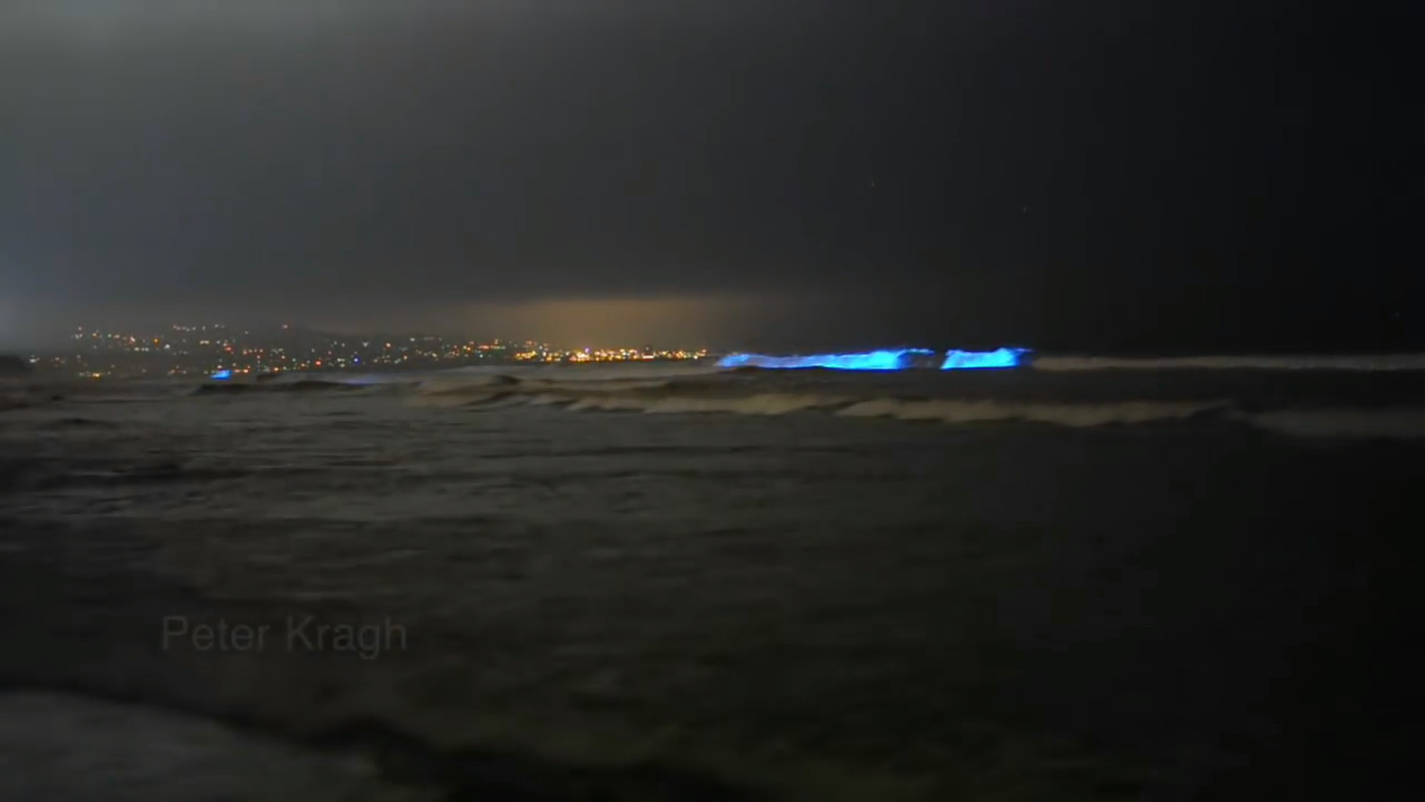 Para gozar do mar de ardora é necesario que non haxa moita contaminación luminosa