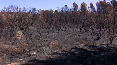 Imaxe de arquivo do incendio da vaga de xullo en Oímbra