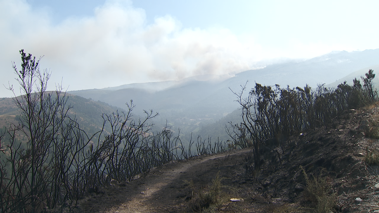 Montes de Maceda arrasados polo incendio