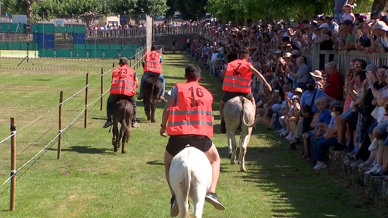 Os animais proviñan de Galicia, do País Vasco e de Asturias