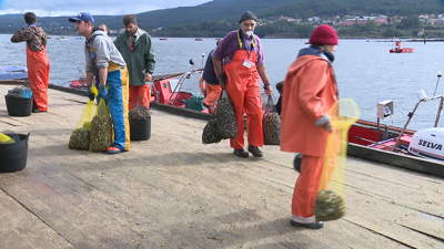 A Consellería do Mar insiste en que as canles legais son as máis seguras para a nosa saúde