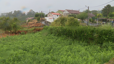 Ponte Caldelas está considerada como de alto risco de incendio