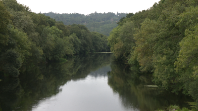 Río Tambre ao seu paso polo concello de Trazo