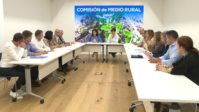 A Comisión do Rural do PPdeG analizou as partidas destinadas aos incendios