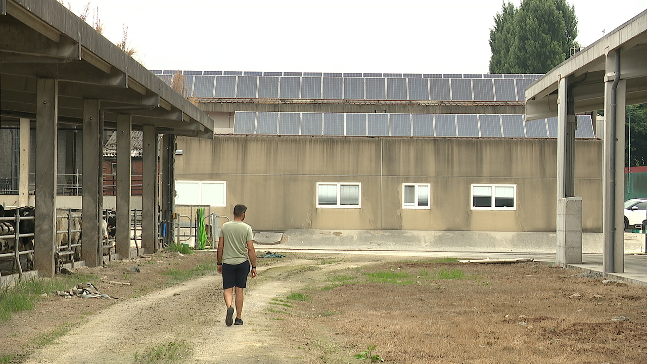 Granxa cunha instalación fotovoltaica