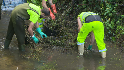 Operarios de Tragsa extraen 'ludwigia' no río Barbaña