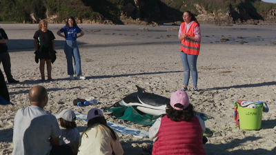 A oceanógrafa do CEMMA, Uxía Vázquez, imparte a actividade na praia de Caión