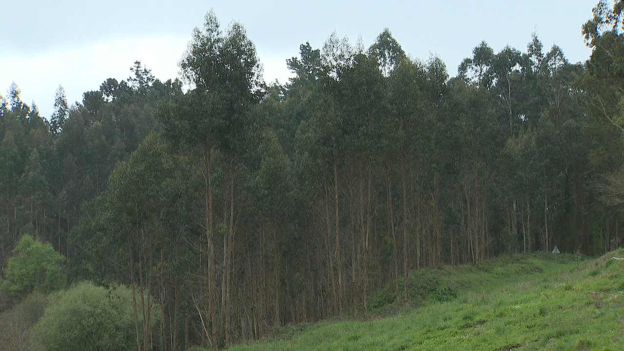 O presuposto de Medio Rural ascende a 2,2 millóns de euros