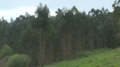 O presuposto de Medio Rural ascende a 2,2 millóns de euros