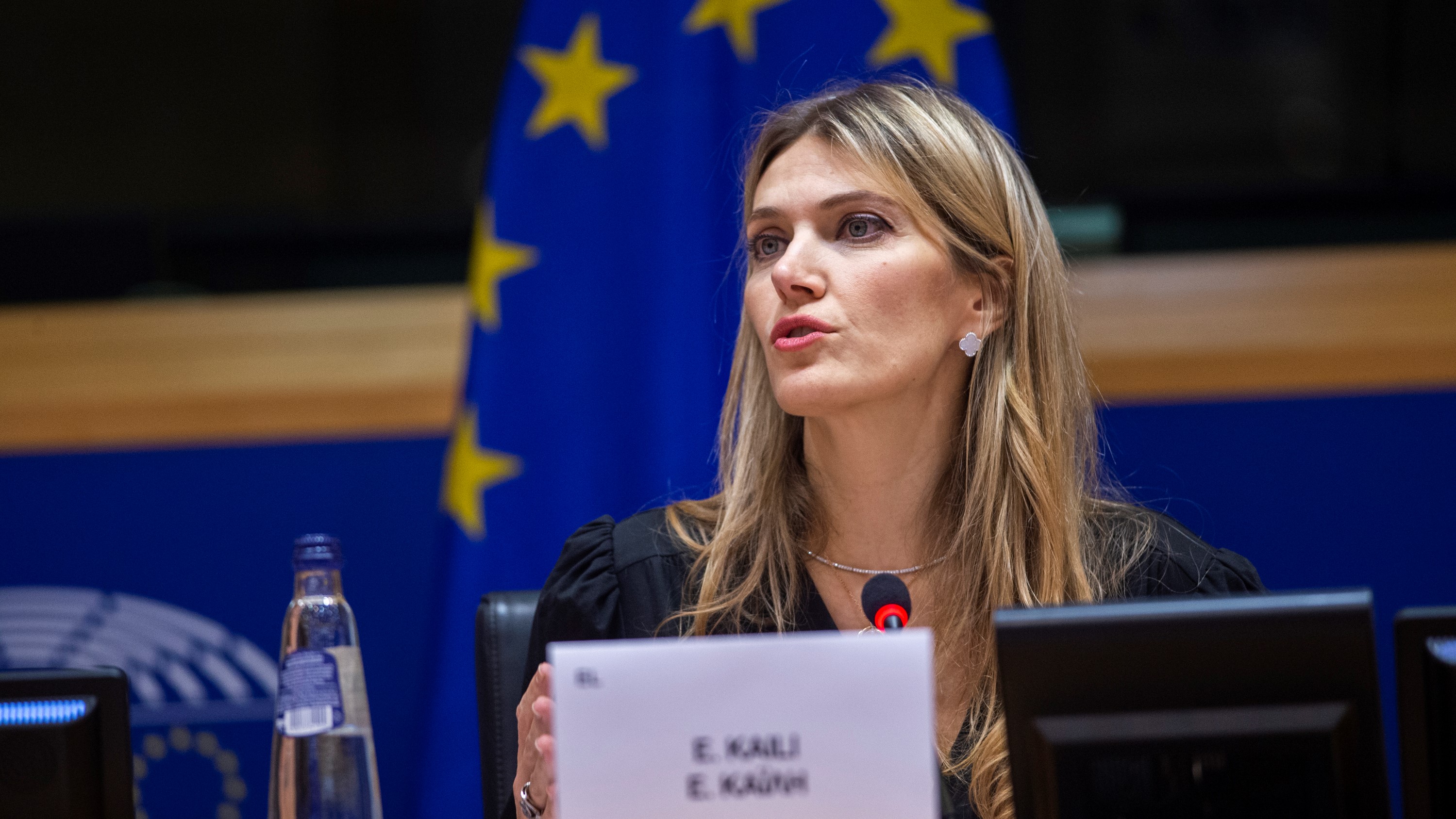 A eurodeputada grega Eva Kailí. Foto/ PE