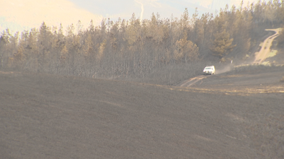 Parte da zona queimada polo incendio de Baleira