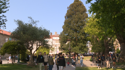 A sequoia vermella da Porta Faxeira, na Alameda de Santiago