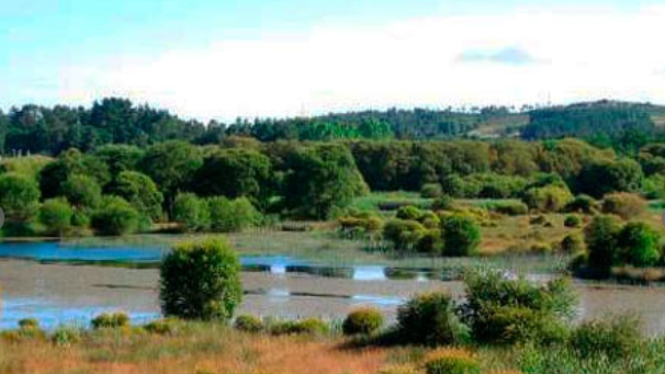 Lagoa de Cospeito