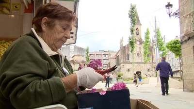 Unhas das moitas veciñas que se afanan estes días en cortar flor para as alfombras