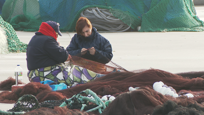 Redeiras traballando no porto de Malpica