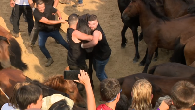 Aloitadores no primeiro curro das bestas de Sabucedo