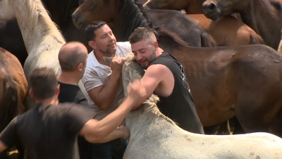 Aloitadores no segundo día do curro de Sabucedo