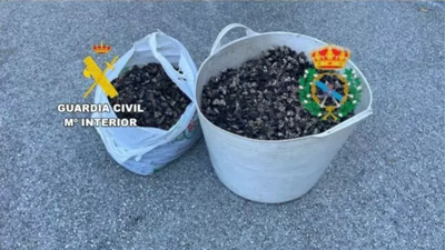 Percebes comisados en Ferrol/ Garda Civil