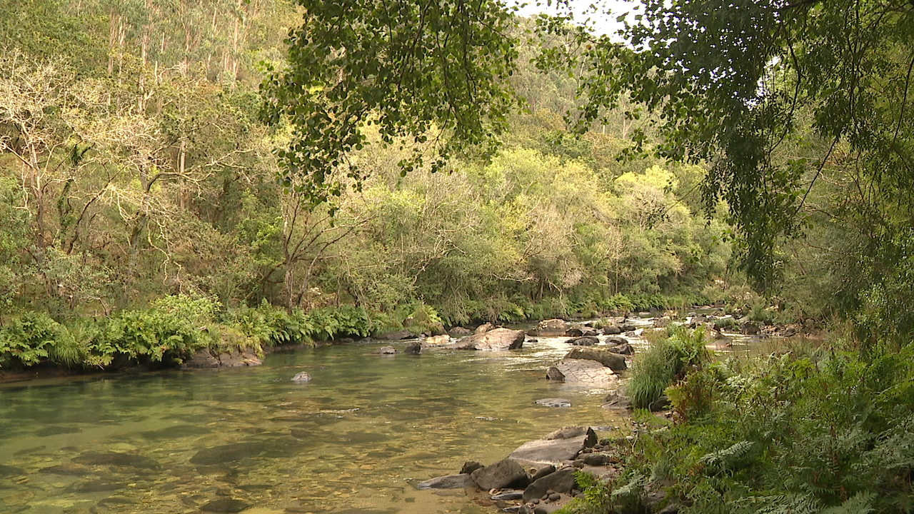 Parque Natural das Fragas do Eume