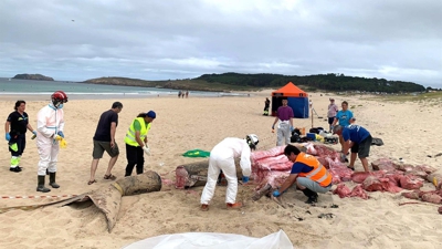 Foto cedida polo Concello de Ferrol