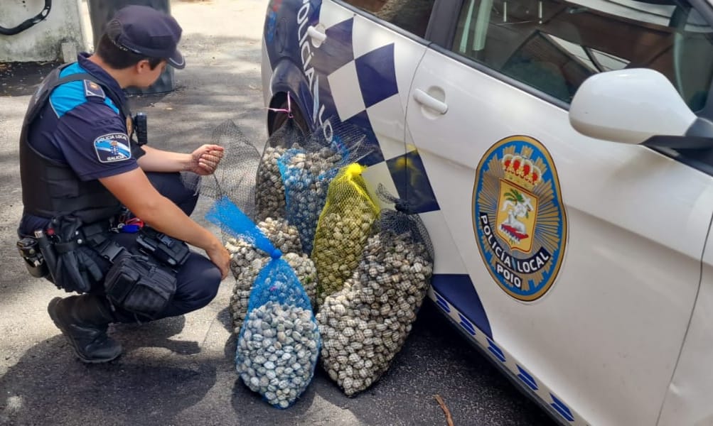 Marisco intervido polos axentes/Policía Local de Poio