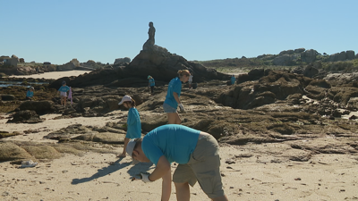 Voluntariado recollendo lixo na praia do Almacén, na illa de Sálvora