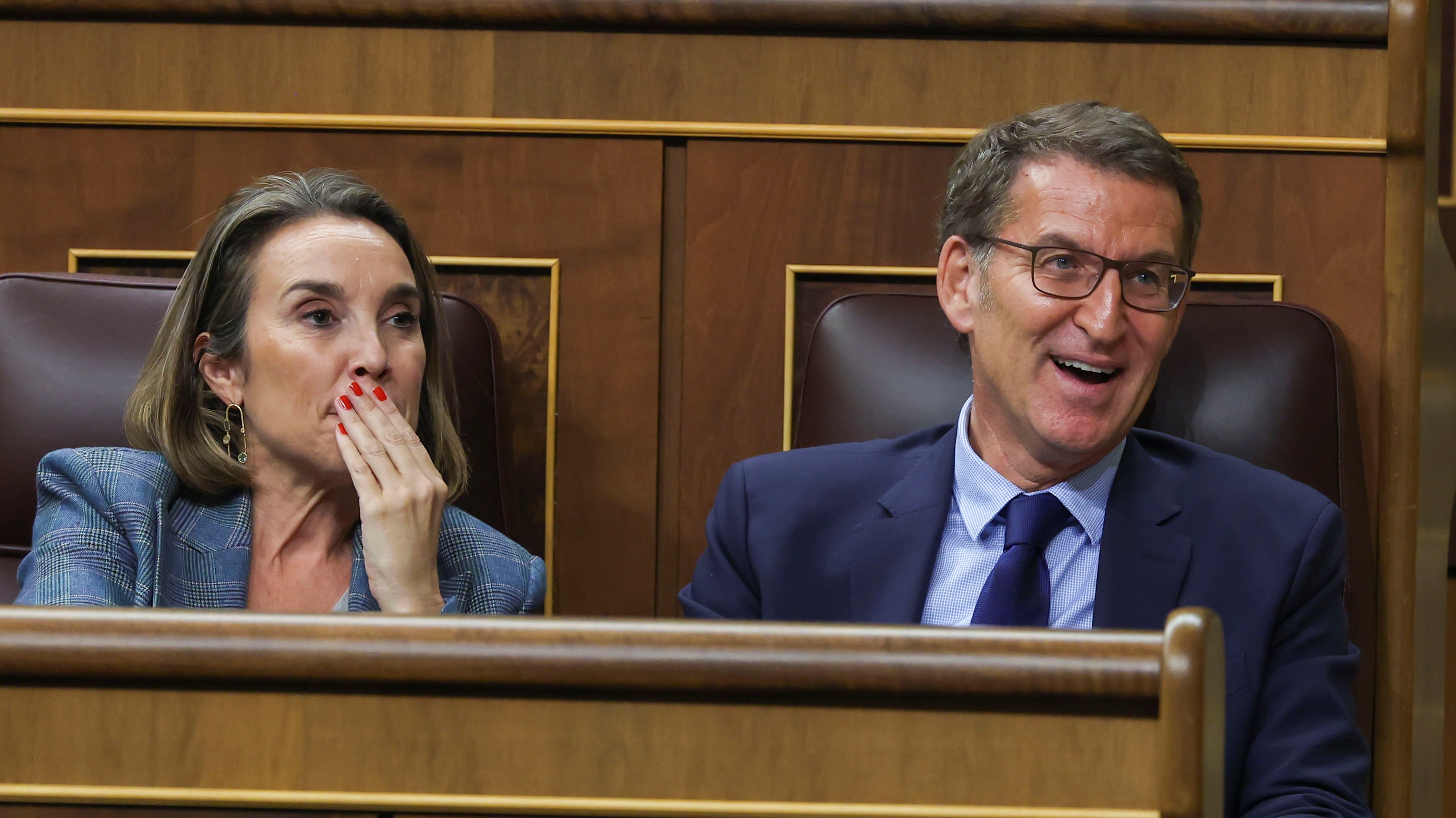 Cuca Gamarra e Alberto Núñez Feijóo no Congreso dos Deputados (EFE/Kiko Huesca)