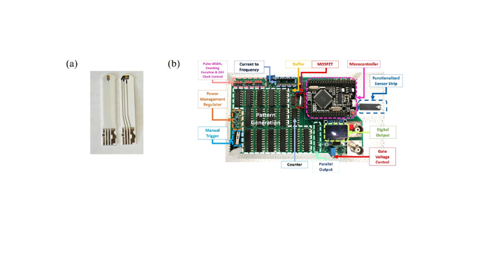 Imaxe a: diagrama das tiras reactivas con tapa (e) e sen ela (d); imaxe b: placa de circuíto impreso para xerar lectura dixital (Journal of Vacuum Science & Technology)