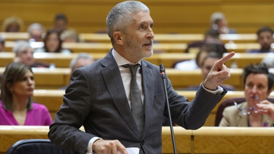 O ministro Grande-Marlaska no Senado