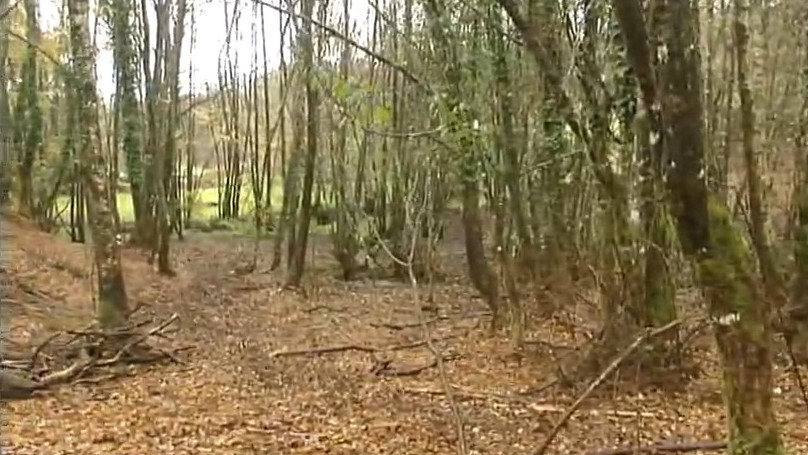 Monte do concello de Lalín (imaxe de arquivo)