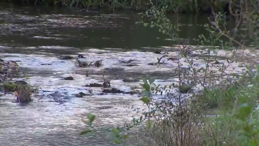 Imaxe de arquivo do río Anllóns