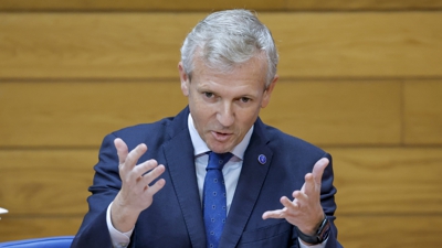 O presidente da Xunta, Alfonso Rueda, na sesión de control celebrada no Parlamento de Galicia (EFE/Lavandeira jr)