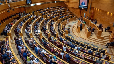 O Senado aproba definitivamente a reforma do CXPX (EFE/ Daniel González)