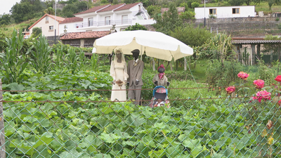 Os espantallos están nunha horta protexidos por un parasol