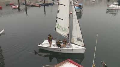 Manoliño interactúa cos barcos da Escola de vela de Corcubión todos os días