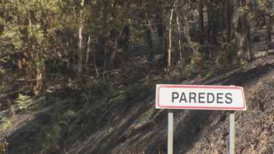 Imaxes da zona queimada en Paredes despois do incendio