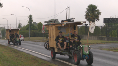 Dous dos chimpíns cos que transportan a casa