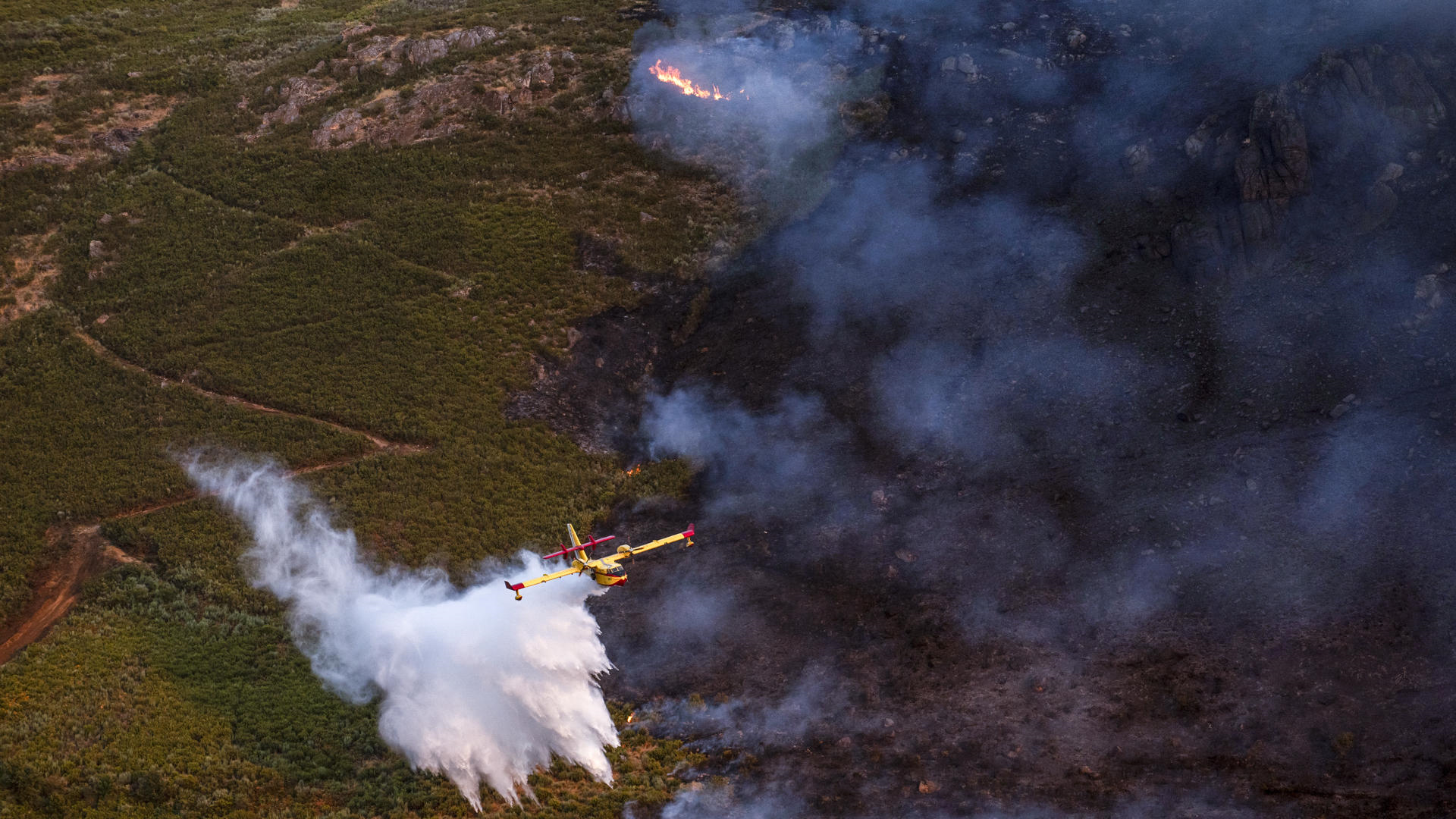 Incendio forestal na Gudiña.