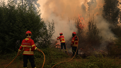 Incendio en Agueda, Portugal. REUTERS/Pedro Nunes