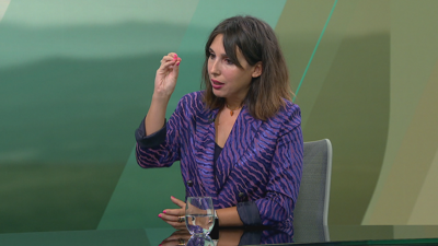 A conselleira de Economía e Industria, María Jesús Lorenzana, no 'Bos días' da TVG