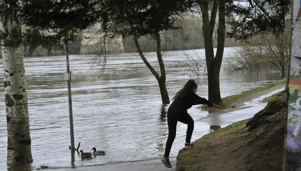 Inundación no río Miño en Ourense na praia da Antena/Arquivo