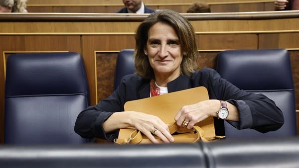 Teresa Ribera, este mércores á súa chegada ao Congreso dos Deputados (EFE / Mariscal).